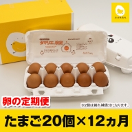 【定期便】12ヵ月連続お届け　美ら卵養鶏場の卵　各月20個