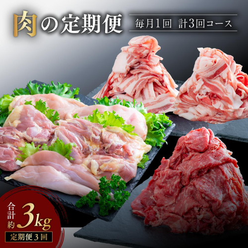 GA-02 【牛・豚・鶏】肉の定期便 年3回 114651 - 大分県豊後高田市