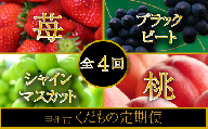 【甲州市くだもの定期便4選！】桃･ブラックビート･苺･シャインマスカット【2024年発送】（SHP）D8-471