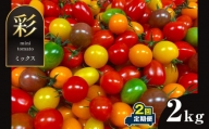 [ 定期便 2回 ]サザキ農園 ミニトマト 彩りセット(ミックス) 2kg×2回 トマト 熊本県 玉名市 全国 1位