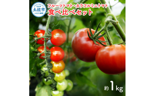 フルーツトマト食べくらべセット 1kg  1146787 - 高知県土佐市