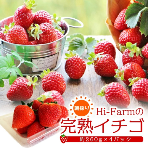 SA2615 Hi-Farmの完熟いちご 約260g×4パック 114684 - 山形県酒田市