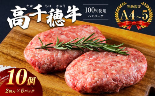 高千穂牛 100%使用 ハンバーグ　宮崎県産 黒毛和牛 A4 ～ A5 等級 | 肉 にく お肉 おにく 牛 牛肉 和牛 宮崎牛 おかず 宮崎県 五ヶ瀬町 1146867 - 宮崎県五ヶ瀬町