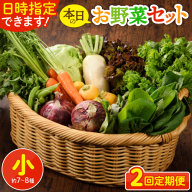 【2回定期便】日時指定OK！本日のお野菜セット 〈小サイズ/約7-8種〉1～2人用
