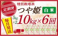 [定期便]白米 山形県産 特別栽培米つや姫 10kg(5kg×2) 6回配送