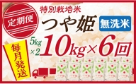 [定期便]無洗米 山形県産 特別栽培米つや姫 10kg(5kg×2) 6回配送