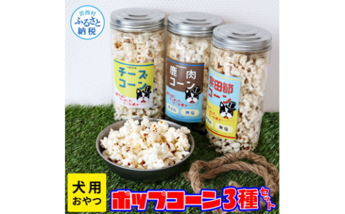 犬用おやつポップコーン 3種セット 犬用 ポップコーン おやつ チーズ味 宗田節味 鹿肉味 ヘルシー 飼い主さんも食べられる緩衝材ポップコーン付 ポップコーン 犬 いぬ 犬用おやつ 無添加 国産 1147336 - 高知県芸西村
