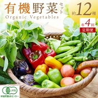 【年4回定期便】＜てんとうむしばたけ＞オーガニック野菜セット　有機野菜12種前後(4人用)