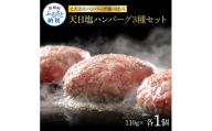 CDM014　 食べ比べ！天日塩ハンバーグ3種セット各1個(110g×3種) 合計3個 ハンバーグ 黒毛和牛 美鮮豚 天然塩 天日塩 デミグラスソース 和風ソース ソース付き 牛肉 豚肉 温めるだけ 冷凍 配送 国産 故郷納税