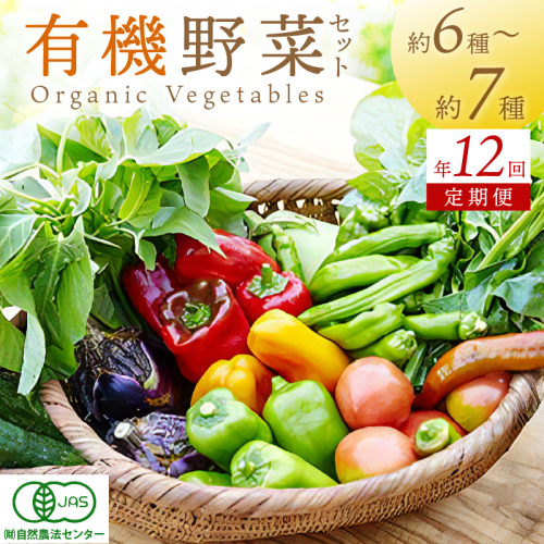 【年12回定期便】＜てんとうむしばたけ＞オーガニック野菜セット　有機野菜6～7種(2人用) 京都直送 野菜 詰め合わせ 野菜セット 国産 京都産 ふるさと納税 野菜 1147739 - 京都府京丹後市