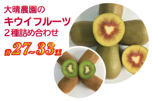 春日部市「産直の里大晴農園 内牧」キウイフルーツ２種詰め合わせ　27～33玉入り【本州限定】（BY003-3） 1147764 - 埼玉県春日部市