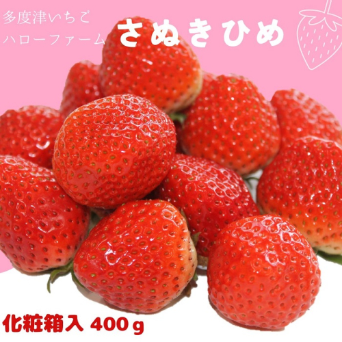 多度津いちごハローファーム さぬきひめ 400g【令和7年1月より発送:予約受付分】【A-106】 1147765 - 香川県多度津町