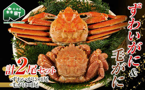 ずわいがに毛がに2尾セット 北海道森町水揚げ かに カニ 蟹 ガニ がに 森町 ふるさと納税 北海道 毛蟹 毛かに 毛ガニ 毛カニ 北海道 ズワイカニ ズワイ蟹 ズワイガニ mr1-1081 1147804 - 北海道森町
