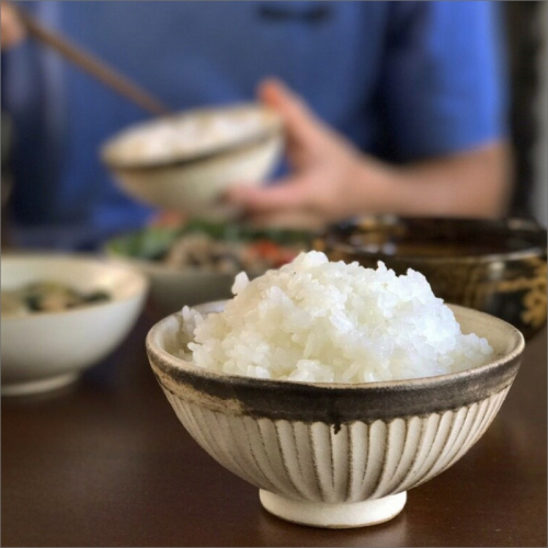 2025年産 京都・弥栄産 コシヒカリ 精米4.5kg（栽培期間中農薬・化学肥料不使用） 1147823 - 京都府京丹後市