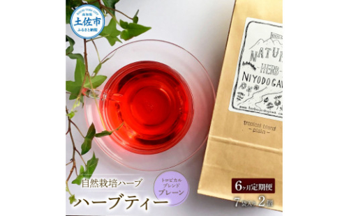 ＜6回定期便＞ ハーブ仁淀川産 自然栽培ハーブ トロピカルブレンド プレーン ハーブティー ティーバッグタイプ 7袋入り×2個セット 定期便 定期コース 6ヶ月 全6回 毎月 無農薬 高知 1147827 - 高知県土佐市