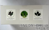 No.814 土なしで育つ菜園セット　プリムレア ／ 栽培 植物 種子 大阪府