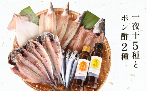 氷見　堀与の一夜干５種とポン酢２種のセット 富山県 氷見市 魚 干物 一夜干し ポン酢 柑橘 セット 1148043 - 富山県氷見市