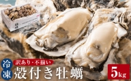 ＜訳あり・不揃い＞ 冷凍殻付き牡蠣 5kg 宮城県 石巻市 三陸産 カキ かき 加熱用