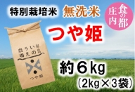 食の都庄内　井上農場の【無洗米（精米）】特別栽培米つや姫6kg