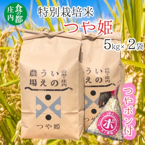 食の都庄内　井上農場の特別栽培米つや姫5kg×2袋+つやポン 1148391 - 山形県三川町