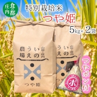 食の都庄内　井上農場の特別栽培米つや姫5kg×2袋+つやポン