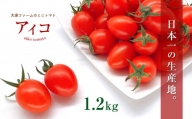 『大家ファーム』のミニトマト アイコ 1.2kg ｜ 野菜 やさい とまと トマト ミニトマト アイコ 熊本県 玉名市