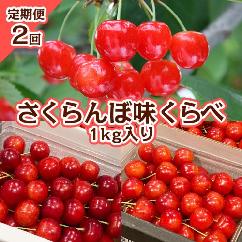 【定期便2回】さくらんぼ 味くらべ 1kg入り 【令和8年産先行予約】FS25-572 1148615 - 山形県山形市