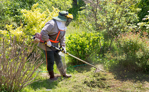 【要事前連絡】「お庭の草刈り（50平方メートル）」サービス＜愛知県日進市内限定＞ チケット  114872 - 愛知県日進市