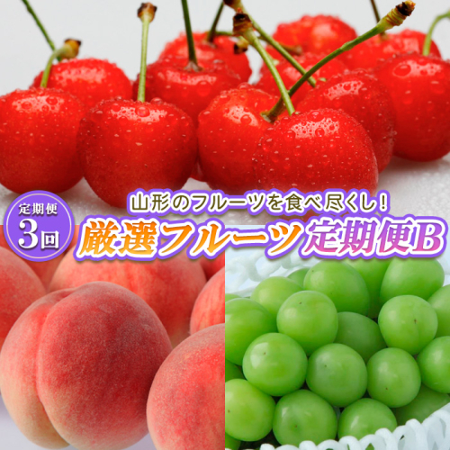 【定期便3回】山形のフルーツを食べ尽くし！厳選フルーツ定期便B 【令和6年産先行予約】FS23-858 1148767 - 山形県山形市