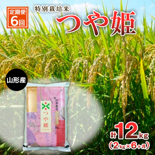 【定期便6回】特別栽培米 つや姫 2kg×6ヶ月(計12kg) FZ23-750 1148846 - 山形県山形市