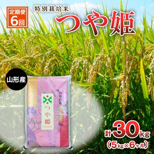 【定期便6回】特別栽培米 つや姫 5kg×6ヶ月(計30kg) FZ23-751 1148848 - 山形県山形市
