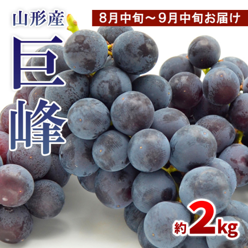 山形のぶどう 巨峰 秀品 約2kg(3～6房)[8月中旬～9月中旬お届け]【令和8年産先行予約】FS24-651 1148870 - 山形県山形市