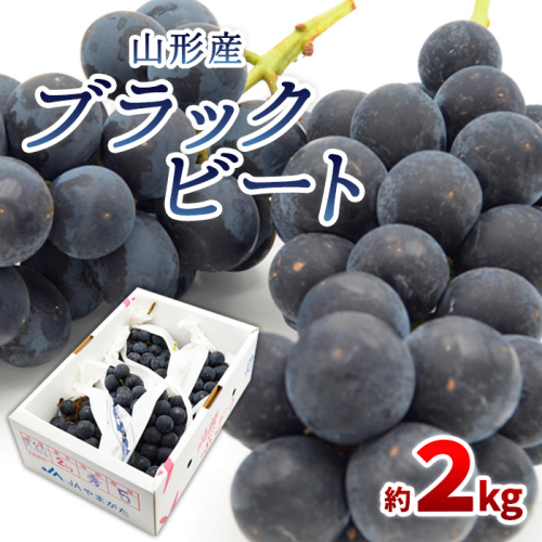 山形のぶどう ブラックビート 秀品 約2kg(3～6房)【令和8年産先行予約】FS24-653 1148876 - 山形県山形市