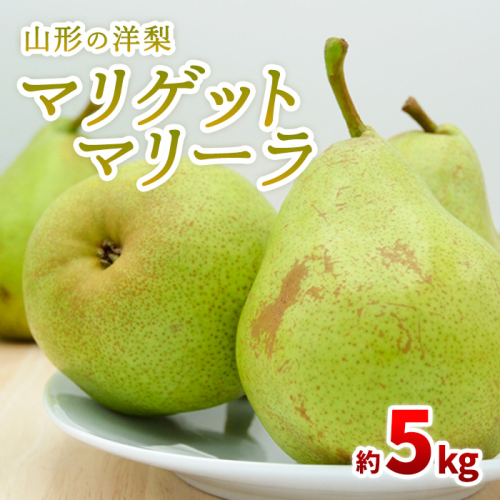 山形の洋梨 マリゲットマリーラ 秀品 約5kg(7～15玉)【令和8年産先行予約】FS23-863 1148878 - 山形県山形市