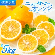 AA115.福岡柑橘王国．ニューサマーオレンジ約5キロ／2025年4月配送