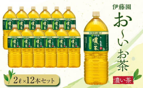 【2024年10月1日より寄附金額見直し（値上げ）予定】お～いお茶　濃い茶2L　12本セット　［おーいお茶 ペットボトル 2リットル ケース 箱 伊藤園 静岡］ 1149086 - 静岡県御前崎市