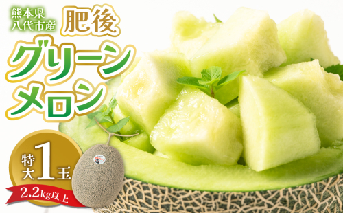 【先行予約】 熊本県八代市産 肥後グリーンメロン 特大1玉 (2.2kg以上) メロン めろん 果物 くだもの フルーツ デザート 旬 青肉 ジューシー 甘い 【2026年6月中旬より順次発送】 1149171 - 熊本県八代市