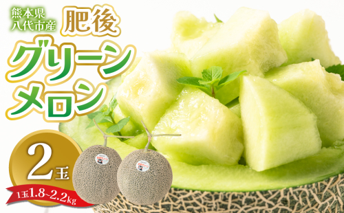 【先行予約】 熊本県八代市産 肥後グリーンメロン 2玉 (1玉1.8kg～2.2kg) メロン めろん 果物 くだもの フルーツ デザート 旬 青肉 ジューシー 甘い 【2026年6月中旬より順次発送】 1149172 - 熊本県八代市