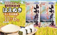 【令和6年産先行予約】 特別栽培米はえぬき 10kg (5kg×2袋)×6ヶ月【定期便】　鶴岡協同ファーム