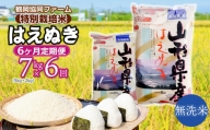 【令和6年産先行予約】 特別栽培米はえぬき 無洗米 7kg (5kg+2kg)×6ヶ月【定期便】　鶴岡協同ファーム