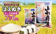 【令和6年産先行予約】 特別栽培米はえぬき 7kg (5kg+2kg)×6ヶ月【定期便】　鶴岡協同ファーム