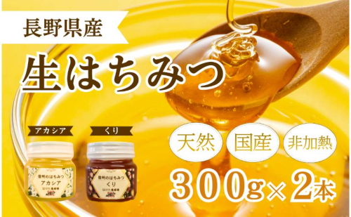 国産 生はちみつ 300g 2本セット アカシア くり セット 詰め合わせ 国産はちみつ 国産ハチミツ 天然蜂蜜 はちみつ 蜂蜜 ハニー 天然国産 非加熱 食べ比べ 食べ比べセット 信州産 長野県産 信州 長野 長野県 上田市 1149993 - 長野県上田市