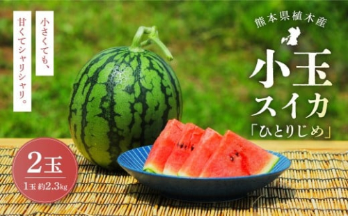 【上村農園】 小玉すいか 約2.3kg 2玉 ひとりじめ 【2026年4月上旬～4月下旬迄順次発送予定】 春スイカ 植木 スイカ 西瓜 果物 くだもの フルーツ 熊本県 熊本市 常温