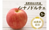 24A [先行予約]りんご シナノドルチェ 約5kg 減農薬栽培 秀品/2024年9月中旬頃から配送予定