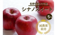 YN12-24A 【先行予約】りんご シナノスイート 約5kg 減農薬栽培 秀品／2024年10月上旬頃から配送予定