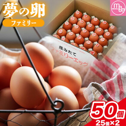 卵 たまご 赤玉 夢の卵 ファミリー 50個《90日以内に出荷予定(土日祝除く)》株式会社めぐみ 岡山県 浅口市 送料無料 25個 × 2セット たっぷり 家族 食卓 1150384 - 岡山県浅口市