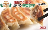 【訳あり】「冠生園」の冷凍野菜餃子：4パック
