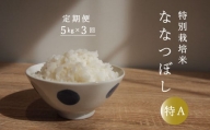 【定期便】特別栽培米ななつぼし 5kg×3回 舟山農産