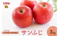 【2024年産 先行予約】 りんご「サンふじ」3kg JA提供　hi003-113
