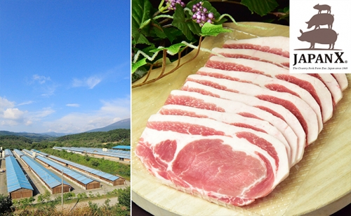 牧場直送JAPAN X 豚ロース・焼肉用5mmスライス/計1.5kg 11512 - 宮城県蔵王町